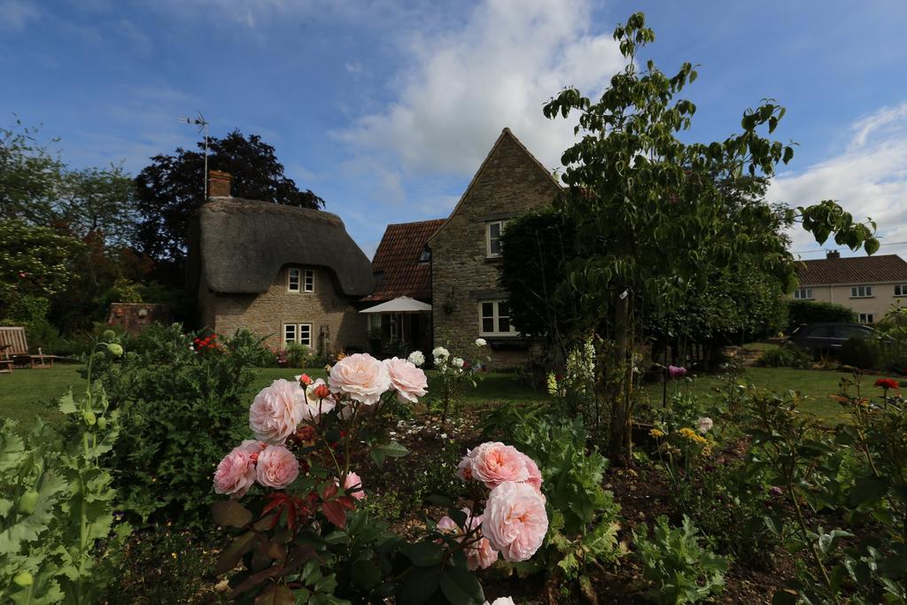 Thatch Cottageレイコック エクステリア 写真
